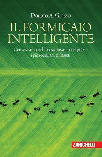 Il formicaio intelligente. Come vivono e che cosa possono insegnarci i più sociali tra gli insetti