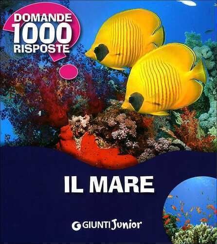 Il mare — Paola Fabris