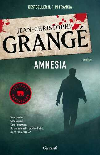 Amnesia — Jean-Christophe Grange