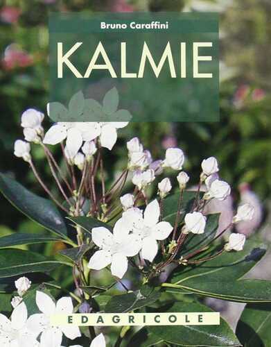 Kalmie — Bruno Caraffini