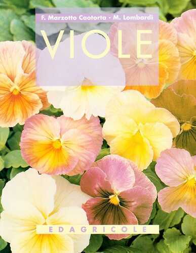 Viole — Francesca Marzotto Caotorta