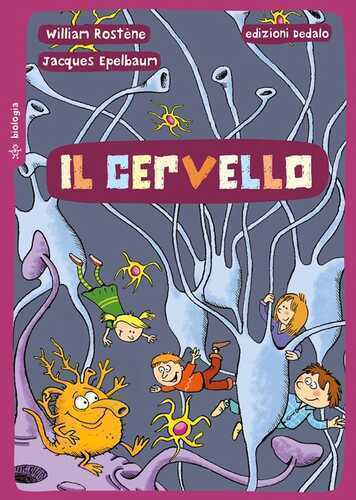 Il cervello. Ediz. a colori