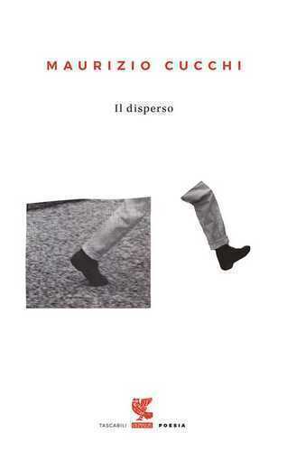Il disperso — Maurizio Cucchi