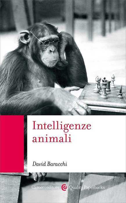 Intelligenze animali