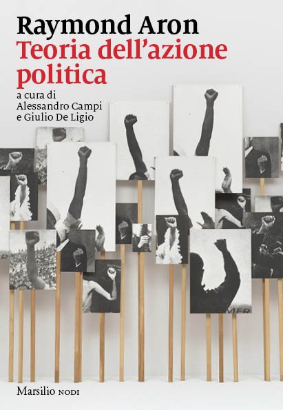 Teoria dell'azione politica