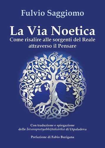 La via noetica. Come risalire alle sorgenti del reale attraverso il pensare