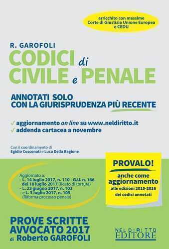 Codici di civile e penale. Annotati solo con la giurisprudenza più recente. Con Contenuto digitale per download e accesso online