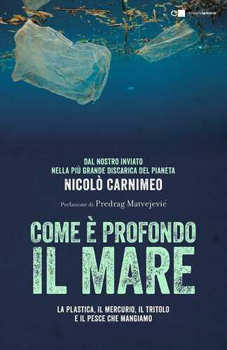 Come è profondo il mare. La plastica, il mercurio, il tritolo e il pesce che mangiamo