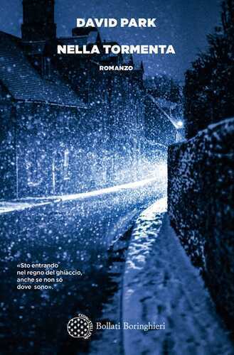 Nella tormenta — David Park