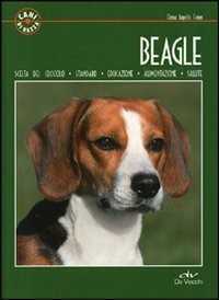 Beagle — Elena Rapello Faion
