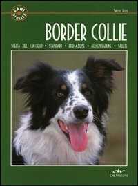 Border collie — Valeria Rossi
