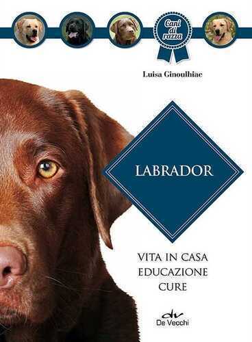 Labrador — Luisa Ginoulhiac