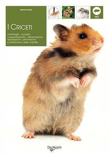 Criceti