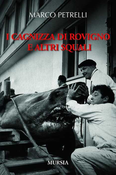 I cagnizza di Rovigno e altri squali