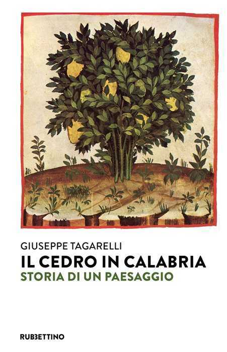 Il cedro in Calabria. Storia di un paesaggio