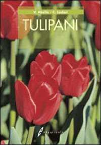 Tulipani — Valentina Abello