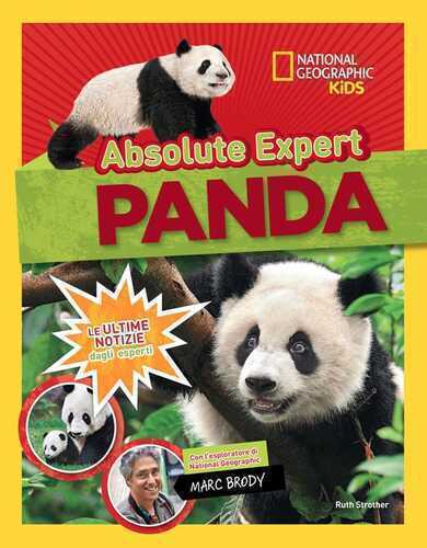 Panda. Absolute expert — Ruth Strother,