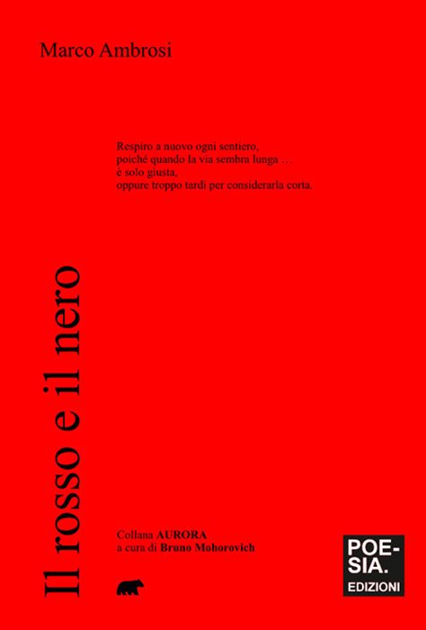 Il rosso e il nero