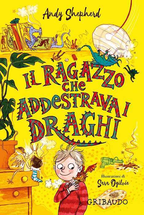 Il ragazzo che addestrava i draghi
