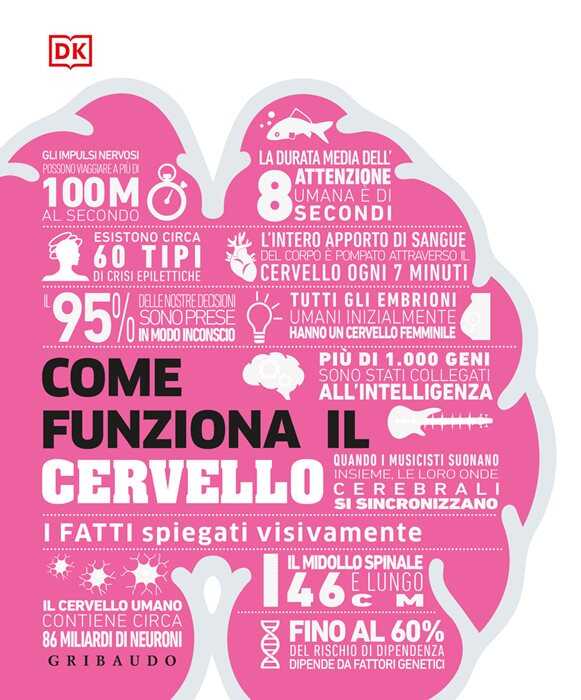 DK Come funziona il cervello. I fatti spiegati visivamente. Ediz. illustrata
