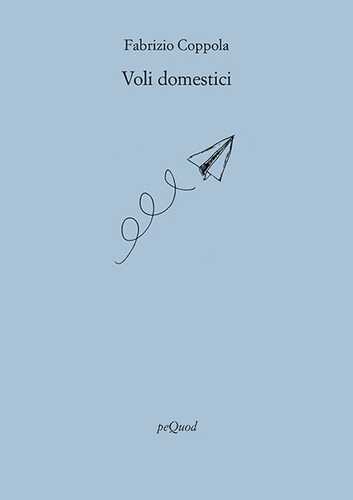 Voli domestici