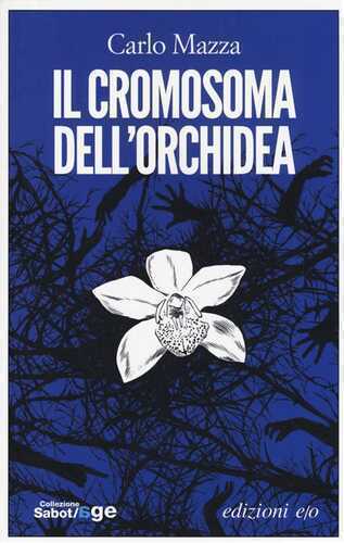 Il cromosoma dell'orchidea