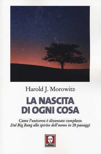 La nascita di ogni cosa. Come l'universo è diventato complesso. Dal Big Bang allo spirito dell'uomo in 28 passaggi