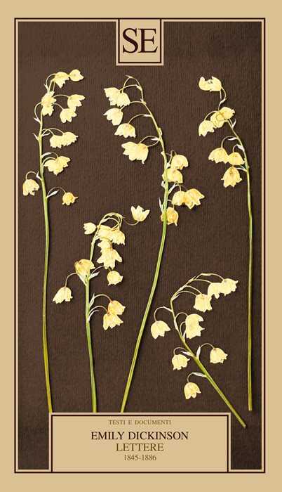 Lettere 1845-1886