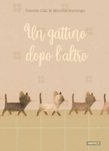 gattino dopo l'altro