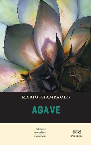Agave — Mario Giampaolo