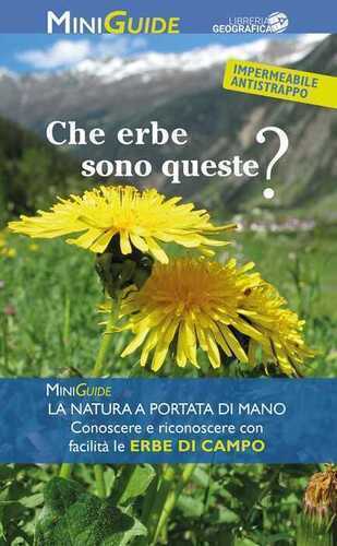Che erbe sono queste?