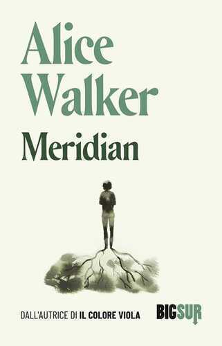 Meridian — Alice Walker