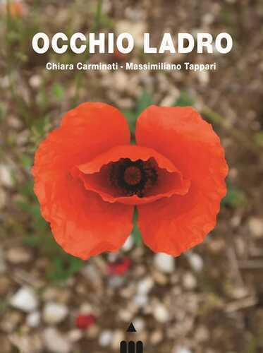 Occhio ladro — Chiara Carminati