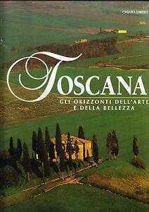 Toscana. Gli orizzonti dell'arte e della bellezza. Ediz. illustrata
