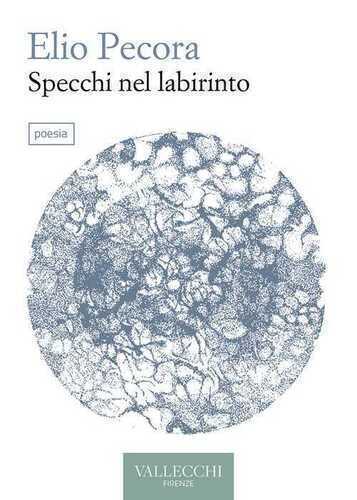 Specchi nel labirinto