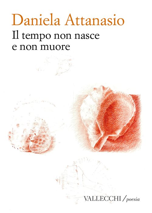 Il tempo non nasce e non muore