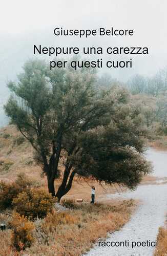 Neppure una carezza. Racconti poetici (1976-2020)
