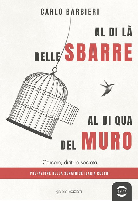 Al di la delle sbarre, al di qua del muro. Carcere, diritti e società