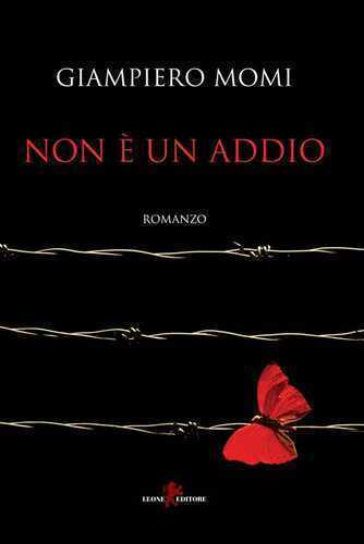 Non è un addio — Giampiero Momi