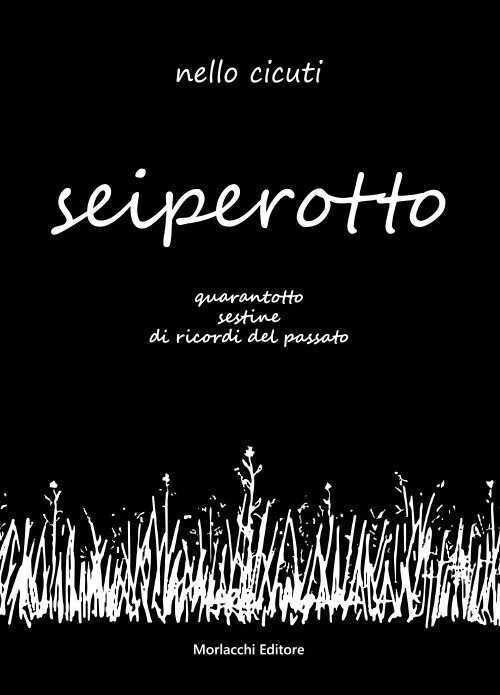 Seiperotto. Quarantotto sestine di ricordi del passato