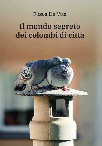 Il mondo segreto dei colombi di città