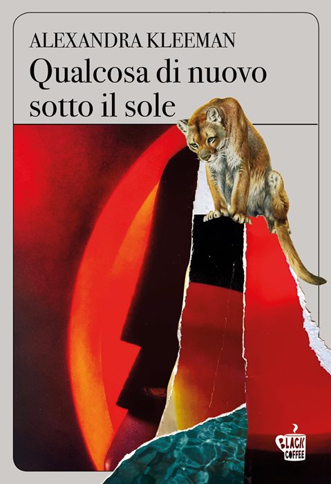 Qualcosa di nuovo sotto il sole — Alexandra Kleeman