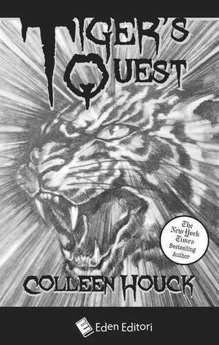 Tiger's quest — Colleen Houck