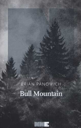 Bull Mountain — Brian Panowich