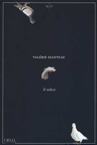 Il solco — Valérie Manteau