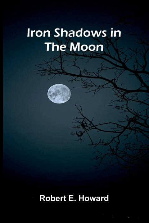 Iron Shadows in the Moon