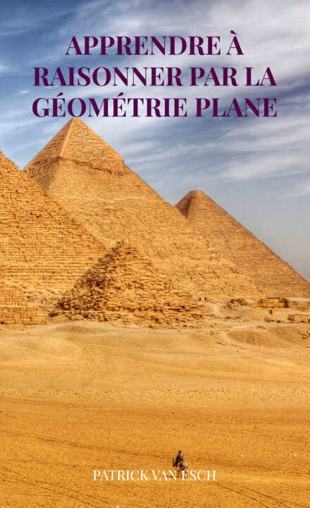 Apprendre à raisonner par la géométrie plane