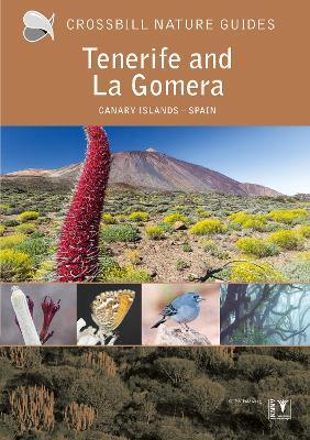 Tenerife and La Gomera