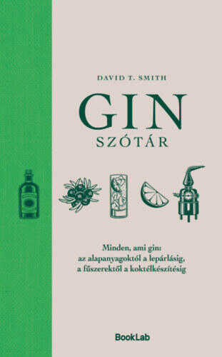 Ginszótár