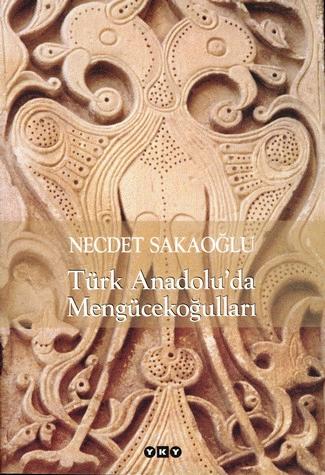 Türk Anadolu'da Mengücekoğulları